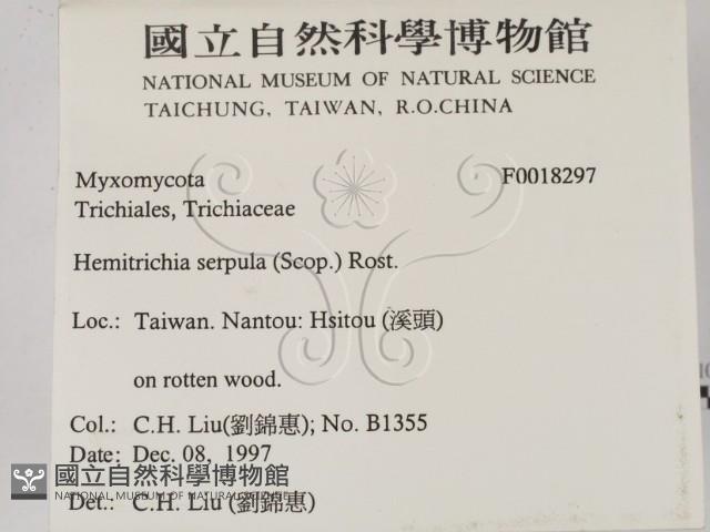 登錄號:F0018297藏品圖，第2張