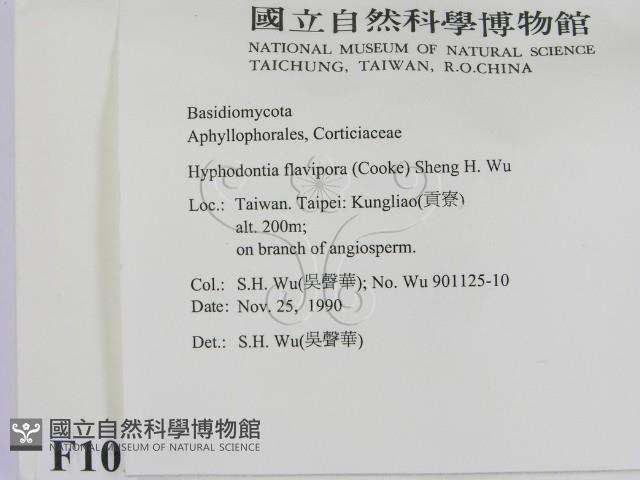 登錄號:F0010297藏品圖，第2張