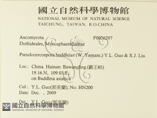 登錄號:F0026297藏品圖，第2張