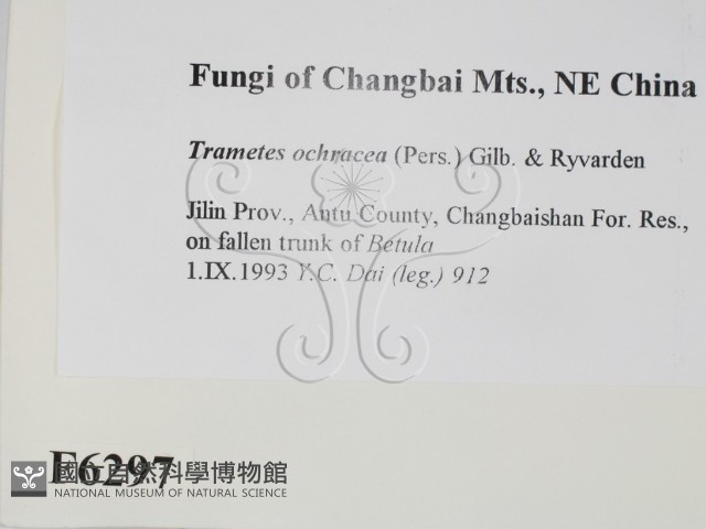 登錄號:F0006297藏品圖，第2張