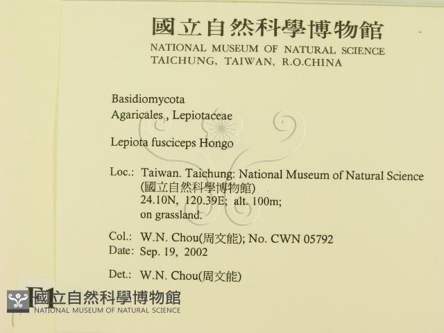 登錄號:F0016297藏品圖，第2張