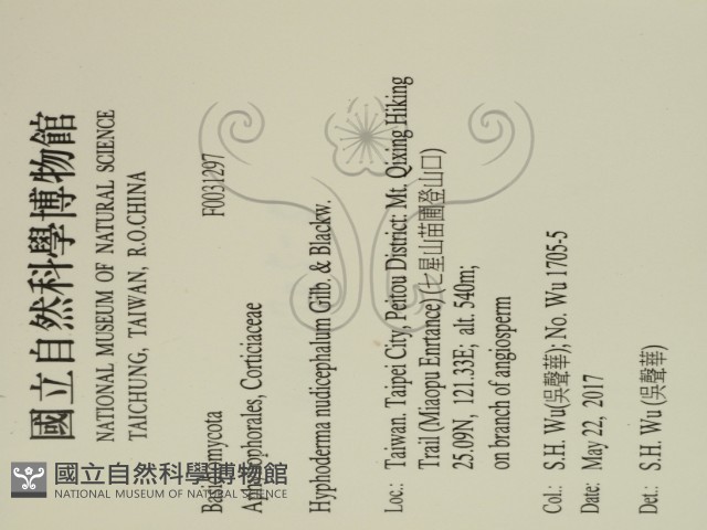 登錄號:F0031297藏品圖，第2張