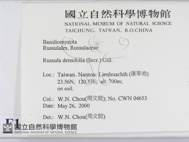 登錄號:F0014297藏品圖，第2張