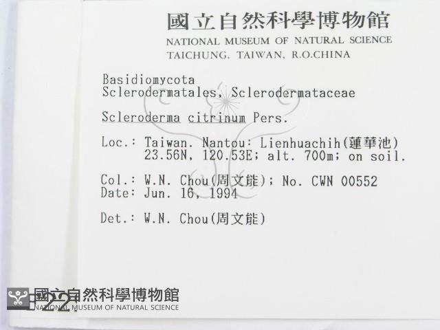 登錄號:F0002297藏品圖，第2張
