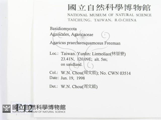 登錄號:F0012297藏品圖，第2張