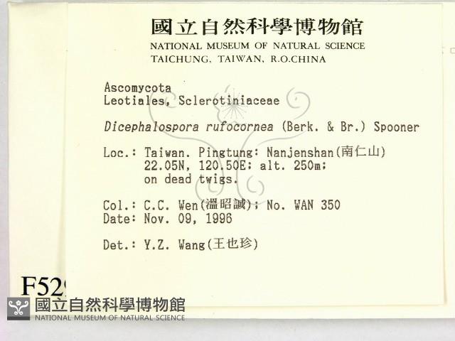 登錄號:F0005297藏品圖，第2張