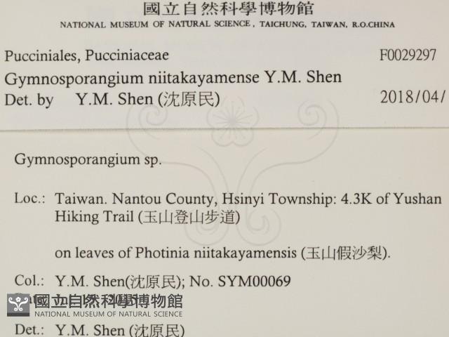 登錄號:F0029297藏品圖，第2張