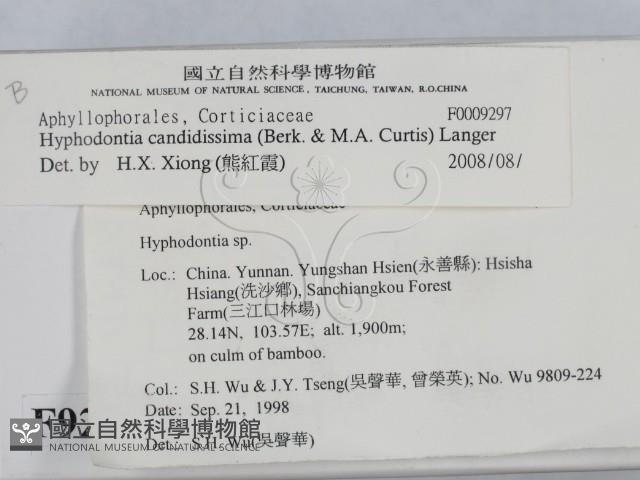 登錄號:F0009297藏品圖，第2張