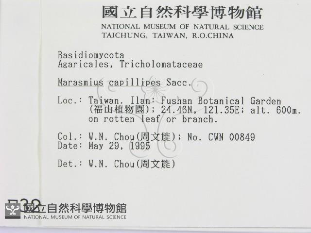 登錄號:F0003297藏品圖，第2張