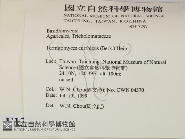 登錄號:F0013297藏品圖，第2張