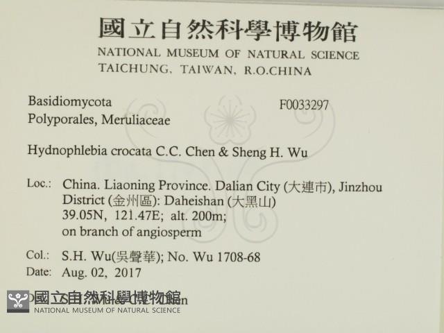 登錄號:F0033297藏品圖，第2張