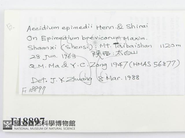 登錄號:F0018897藏品圖，第2張