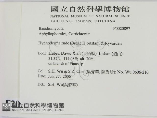 登錄號:F0020897藏品圖，第2張