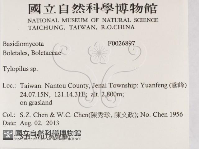 登錄號:F0026897藏品圖，第2張