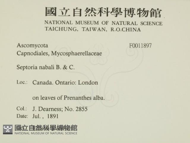 登錄號:F0011897藏品圖，第2張