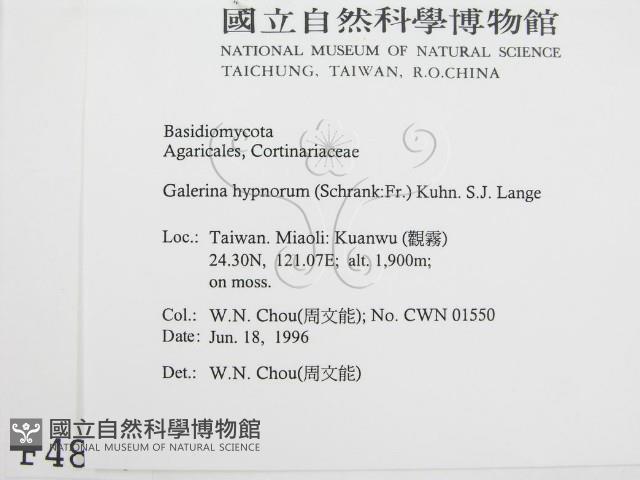 登錄號:F0004897藏品圖，第2張