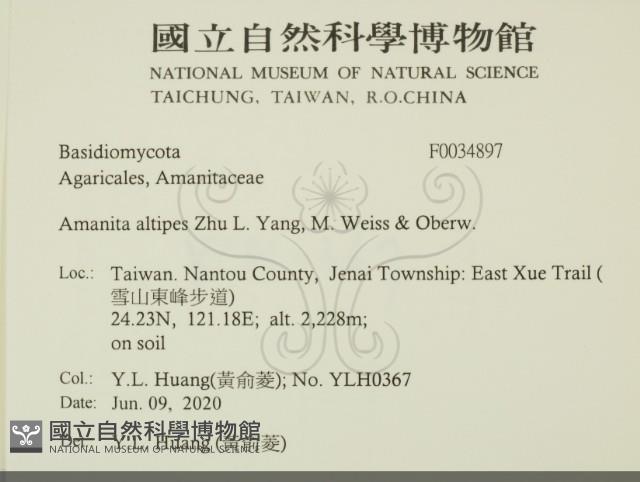 登錄號:F0034897藏品圖，第2張