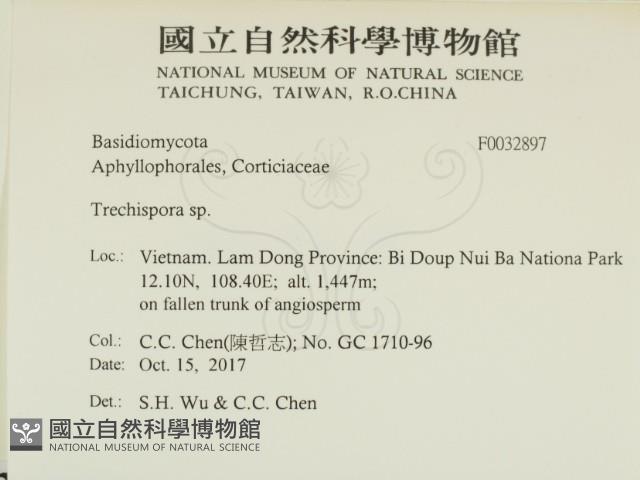 粗糙孢菌屬藏品圖，第2張