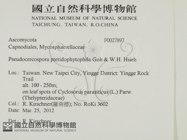 登錄號:F0027897藏品圖，第2張