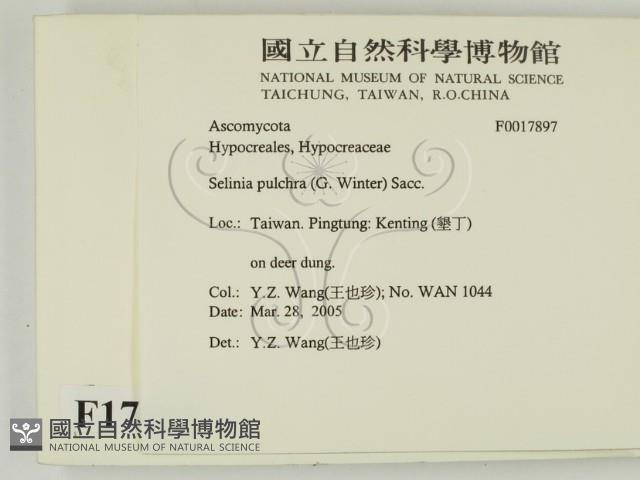 登錄號:F0017897藏品圖，第2張