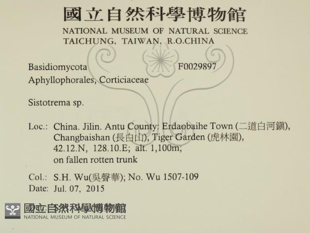 登錄號:F0029897藏品圖，第2張