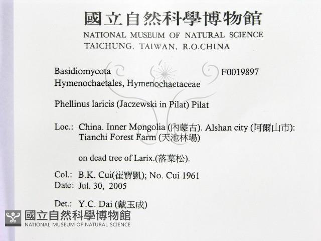 登錄號:F0019897藏品圖，第2張