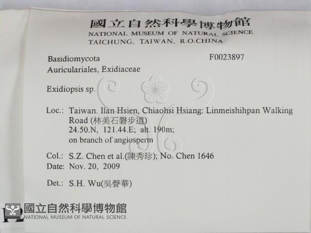 登錄號:F0023897藏品圖，第2張