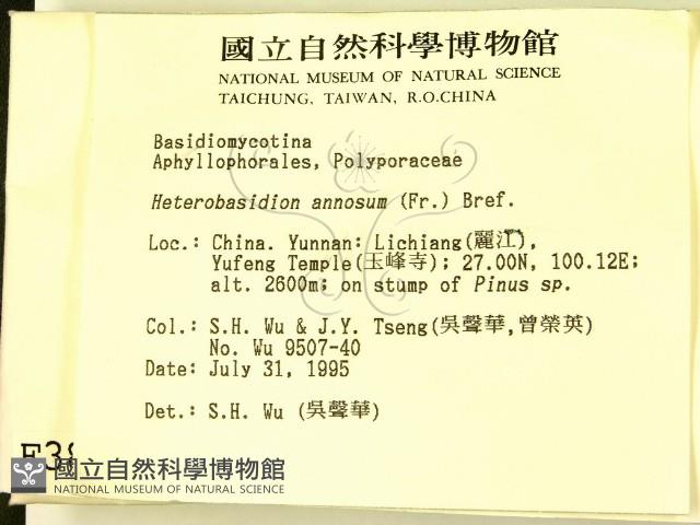 登錄號:F0003897藏品圖，第2張