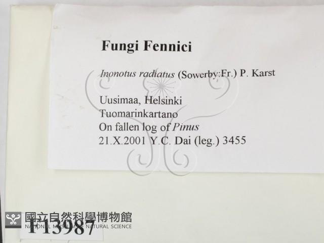 登錄號:F0013897藏品圖，第2張