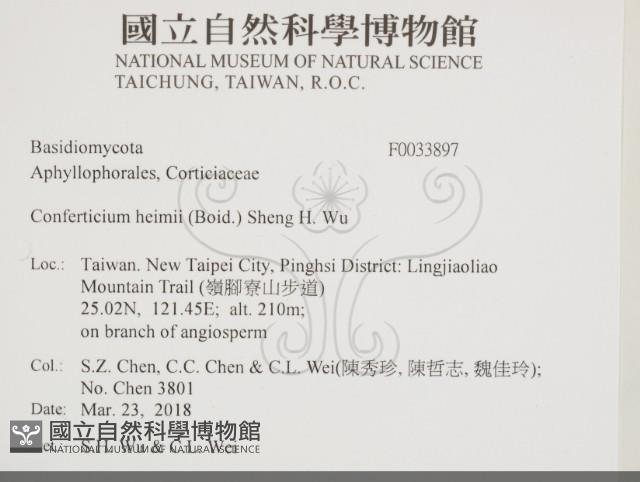 登錄號:F0033897藏品圖，第2張