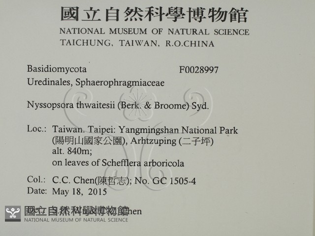 登錄號:F0028997藏品圖，第2張