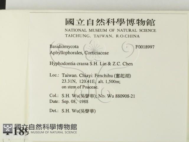 登錄號:F0018997藏品圖，第2張