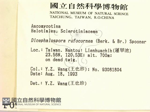 登錄號:F0000997藏品圖，第2張
