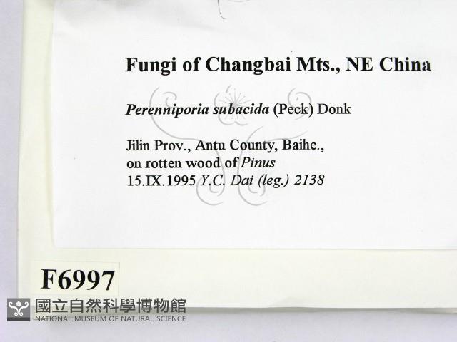 登錄號:F0006997藏品圖，第2張