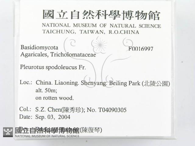 登錄號:F0016997藏品圖，第2張