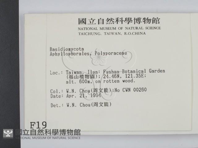 登錄號:F0001997藏品圖，第2張