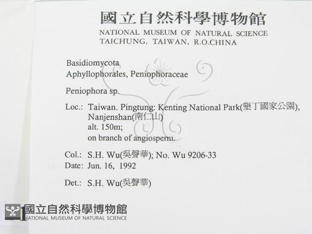 筍殼菌屬藏品圖，第2張