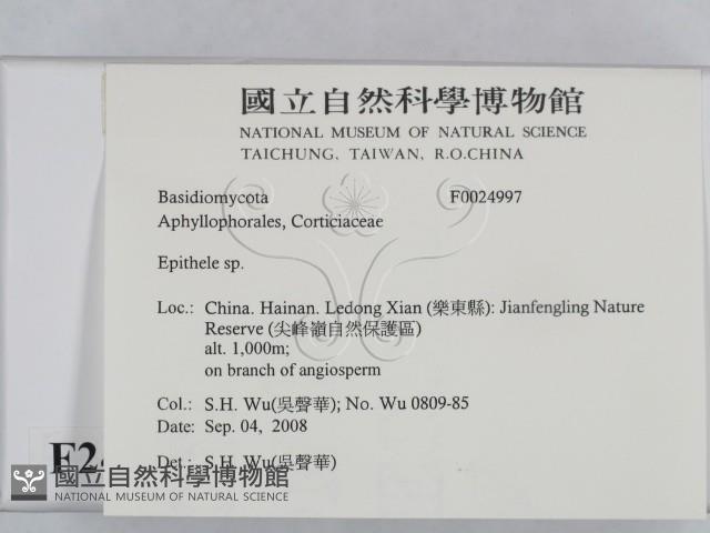 登錄號:F0024997藏品圖，第2張