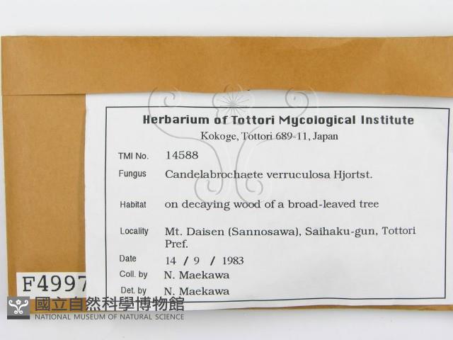 登錄號:F0004997藏品圖，第2張