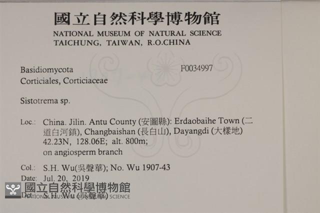 登錄號:F0034997藏品圖，第2張