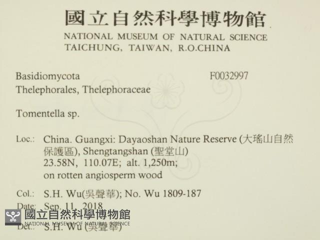 登錄號:F0032997藏品圖，第2張