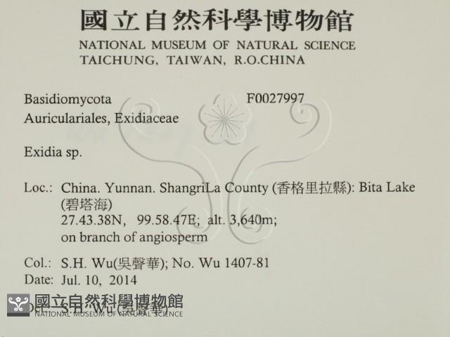 登錄號:F0027997藏品圖，第2張