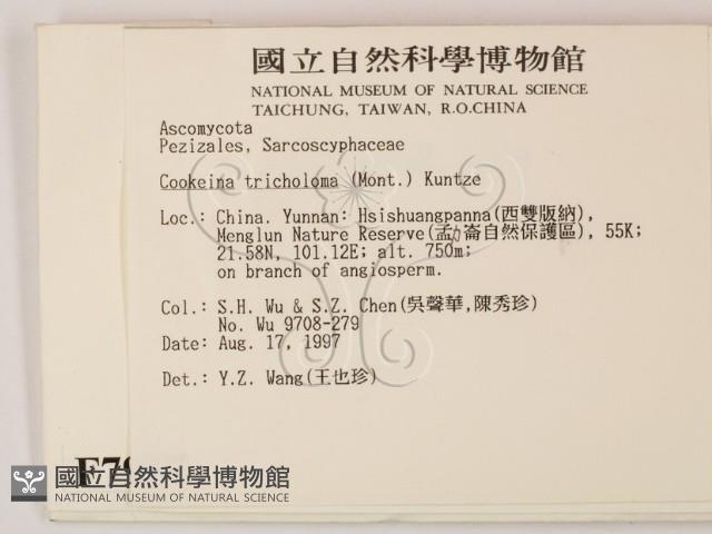 登錄號:F0007997藏品圖，第2張