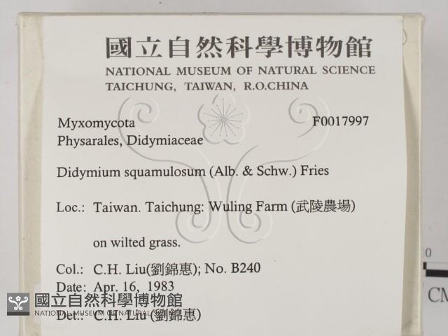 登錄號:F0017997藏品圖，第2張