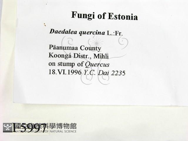 登錄號:F0005997藏品圖，第2張