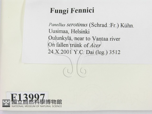 登錄號:F0013997藏品圖，第2張