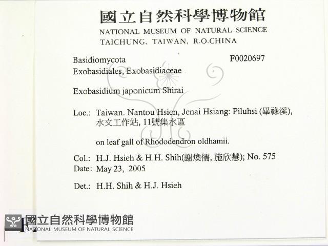 登錄號:F0020697藏品圖，第2張