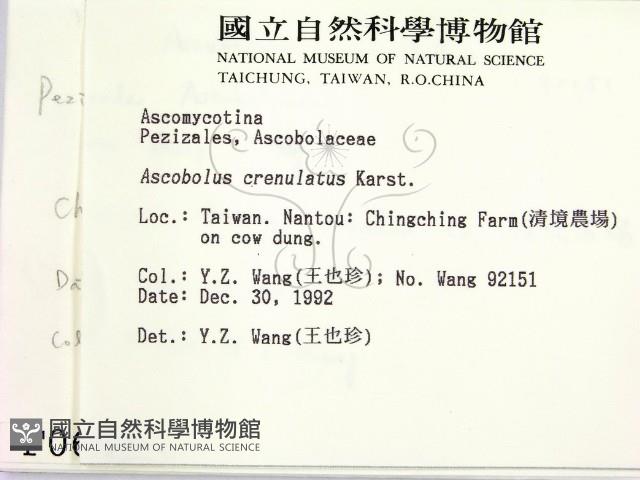 登錄號:F0000697藏品圖，第2張