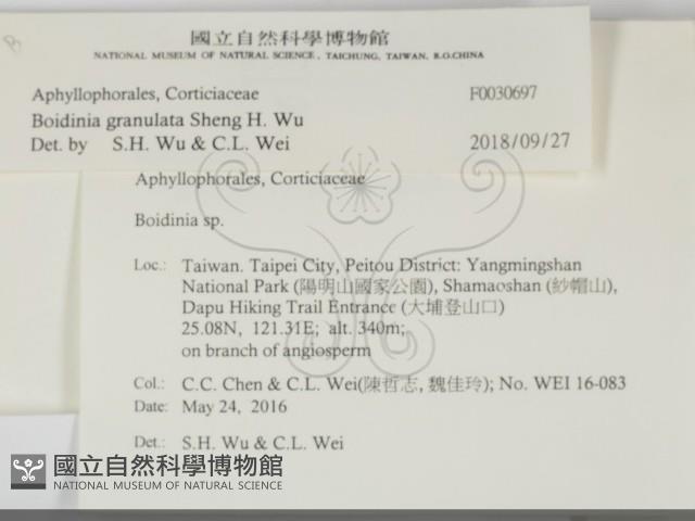 登錄號:F0030697藏品圖，第2張