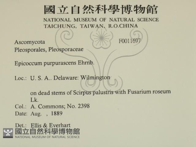 登錄號:F0011697藏品圖，第2張